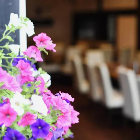 Marktkieker Großburgwedel